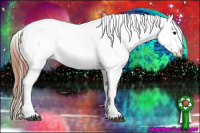 Horse Color:Bay Dun Appaloosa 