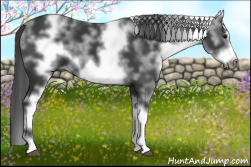 Horse Color: White Spotted Black Frame 