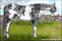 Horse Color:White Spotted Black Frame 