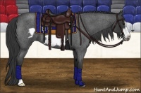 Horse Color:Blue Roan Frame