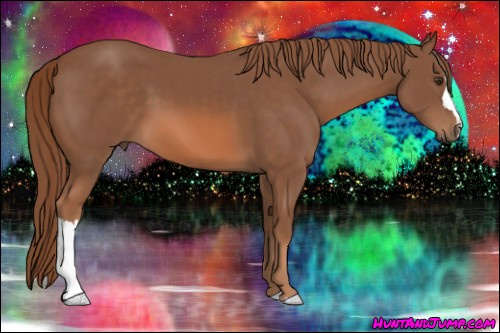Horse Color: Liver Chestnut 
