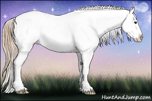 Horse Color: Chestnut Blanket 