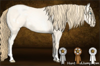 Horse Color:White Spotted Buckskin Pearl Dun 