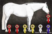 Horse Color:White Spotted Perlino Appaloosa Rabicano