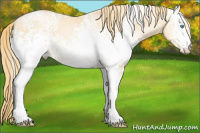 Horse Color:White Spotted Buckskin Pearl 