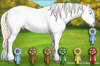 Horse Color:Buckskin Pearl Near Leopard 