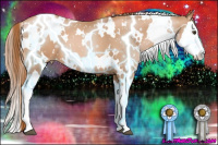 Horse Color:White Spotted Liver Chestnut Pearl Splash 