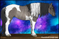 Horse Color:Grullo Tobiano Rabicano 