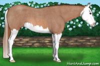 Horse Color:Red Roan Splash 
