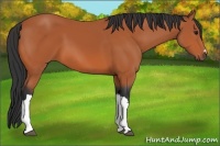 Horse Color:Watercolor Plaid  Smoky Grullo Roan Splash Rabicano 