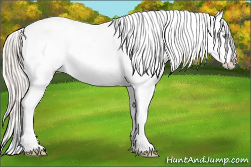 Horse Color: White Spotted Silver Classic Champagne Dun Tobiano Blanket 