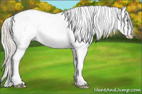 Horse Color:White Spotted Silver Classic Champagne Dun Tobiano Appaloosa 