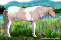Horse Color:Bay Tobiano Varnish 
