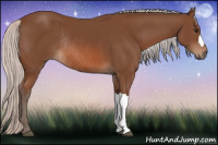 Horse Color:Silver Bay Rabicano