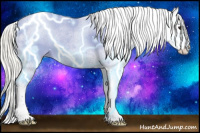 Horse Color:White Spotted Silver Smoky Grullo Appaloosa 