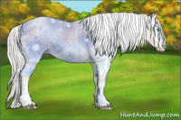 Horse Color:White Spotted Silver Perlino 
