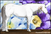 Horse Color:White Spotted Bay Dun 