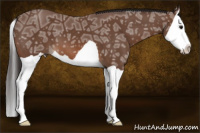 Horse Color:Bay Ice Splash 