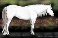 Horse Color:Brown Varnish 