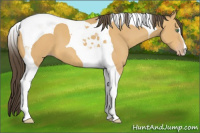 Horse Color:Amber Cream Champagne Tobiano 