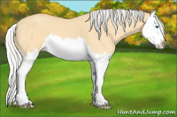 Horse Color:Silver Amber Cream Champagne Dun Splash