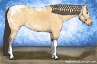 Horse Color:Buckskin Ice Tobiano 