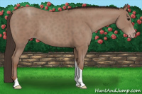 Horse Color:Classic Champagne Tobiano 