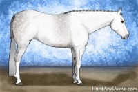 Horse Color:Gray Brown 