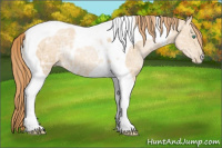 Horse Color:Smoky Black Ice Pearl Tobiano 