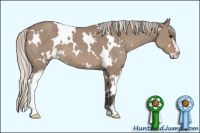 Horse Color:White Spotted Silver Grullo Sabino