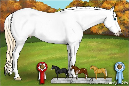 Horse Color: Amber Cream Champagne Sabino Splash Varnish 