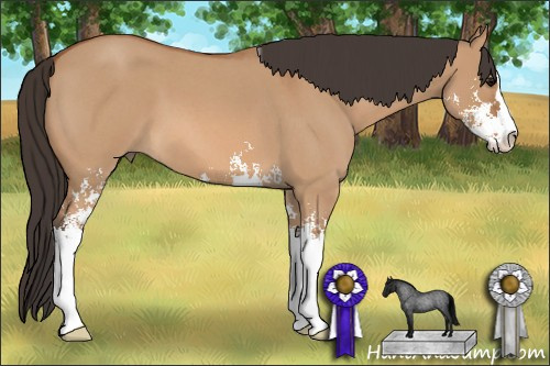 Horse Color: Bay Roan Dun Sabino 