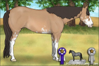 Horse Color:Bay Roan Dun Sabino 