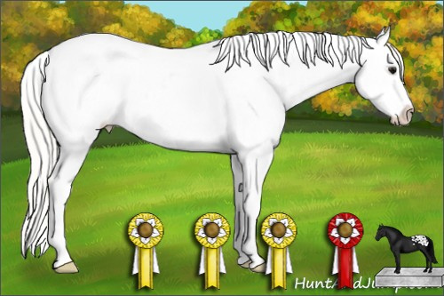 Horse Color: White Spotted Silver Smoky Black Blanket 