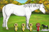 Horse Color:White Spotted Silver Smoky Black Appaloosa 