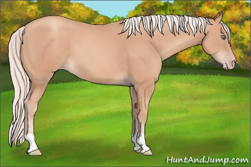 Horse Color: Silver Amber Champagne 