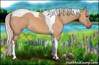 Horse Color:Silver Bay Dun Tobiano