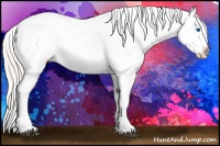 Horse Color:White Spotted Silver Black Splash Appaloosa Rabicano Brindle