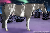 Horse Color:White Spotted Brown Dun
