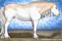 Horse Color:White Spotted Chocolate Palomino Pearl Splash Frame