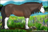 Horse Color:Brown Splash