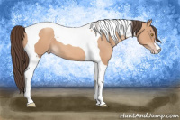 Horse Color:Amber Champagne Tobiano