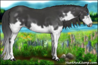 Horse Color:Brown Splash Frame 