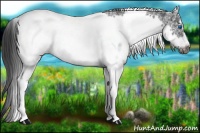 Horse Color:White Spotted Black Splash Tobiano Frame