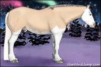 Horse Color:Silver Amber Champagne Dun Splash 
