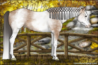 Horse Color:White Spotted Bay Dun Splash 