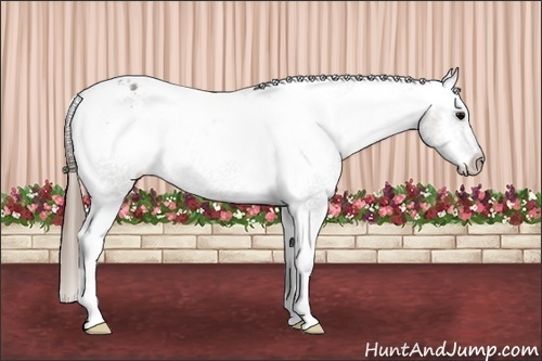 Horse Color: Grullo Blanket 