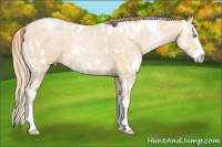 Horse Color:White Spotted Buckskin Ice Pearl Splash 