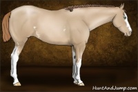 Horse Color:White Spotted Smoky Black Pearl 