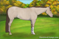 Horse Color:Classic Champagne Roan Dun 